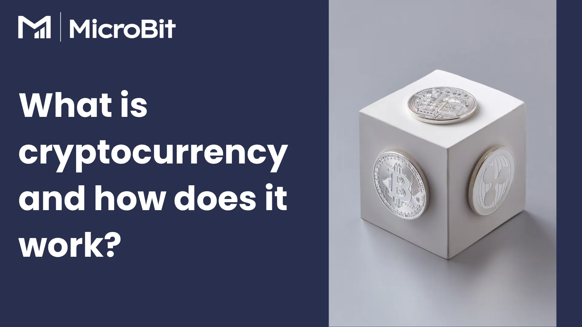 Investor Education - MicroBit Capital Management Limited