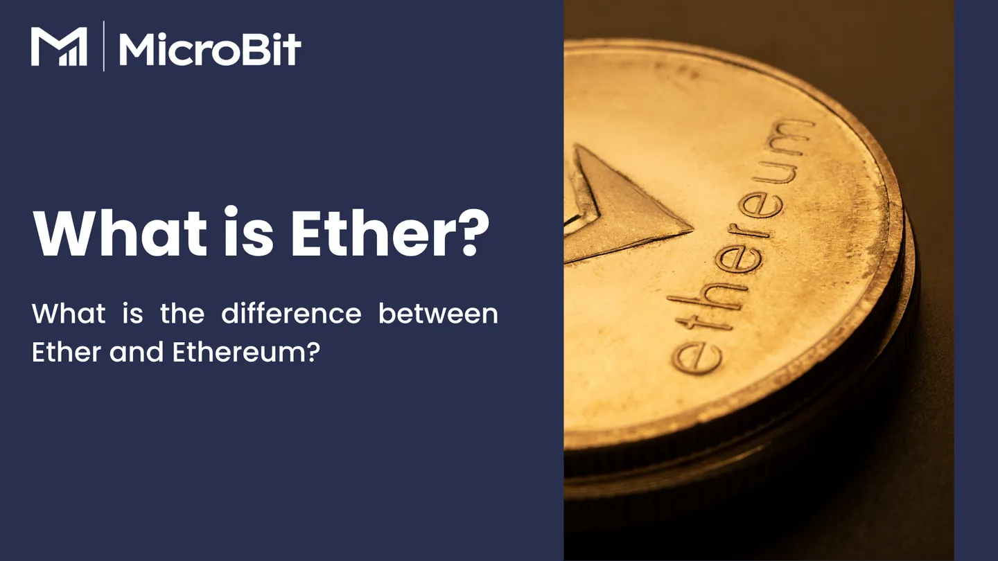 Investor Education - MicroBit Capital Management Limited