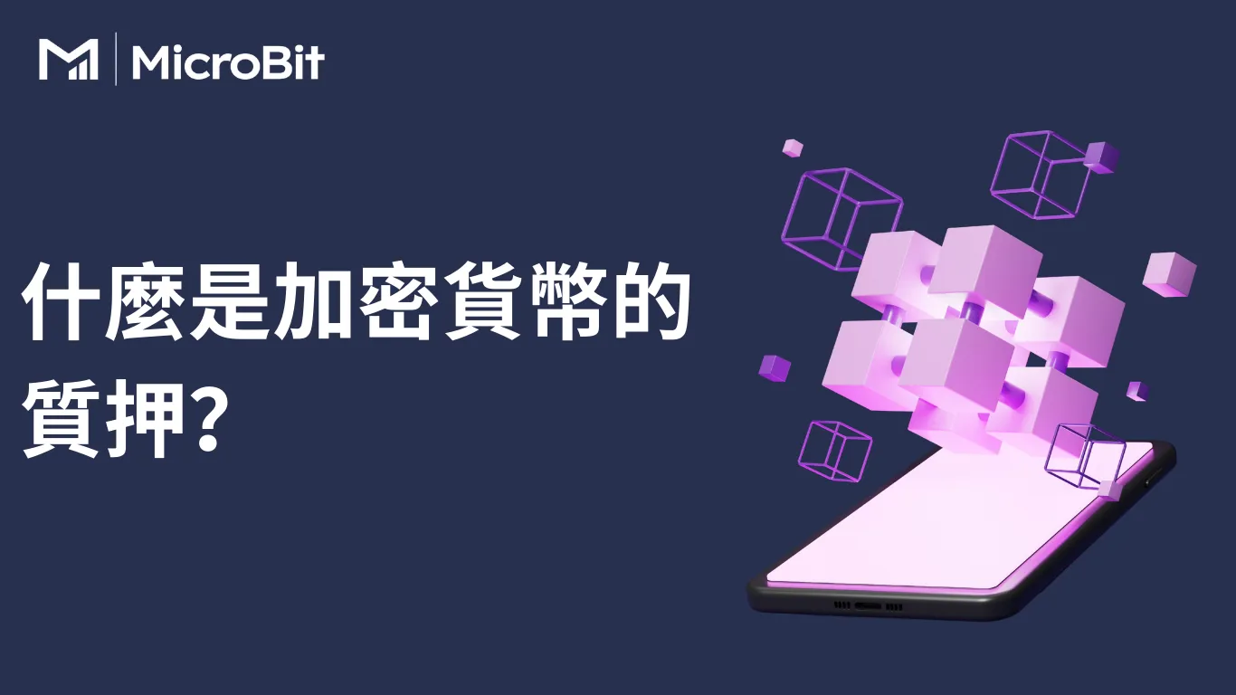 投資者教育- MicroBit Capital Management Limited